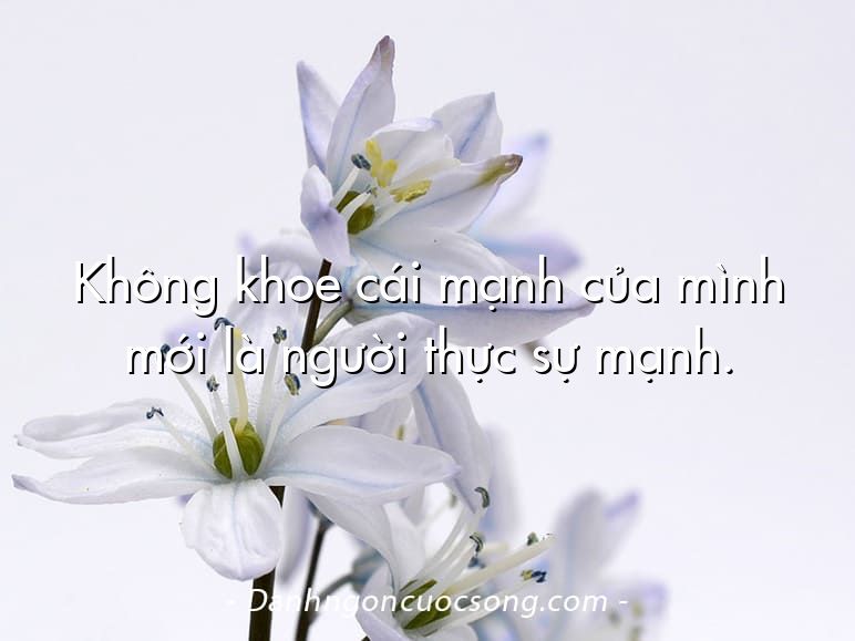 Không khoe cái mạnh của mình mới là người thực sự mạnh.