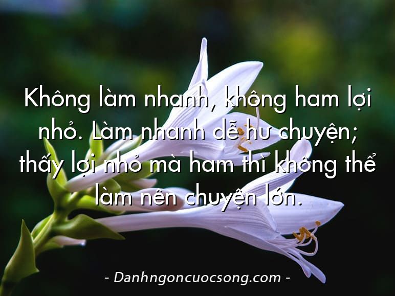 Không làm nhanh, không ham lợi nhỏ. Làm nhanh dễ hư chuyện; thấy lợi nhỏ mà ham thì không thể làm nên chuyện lớn.