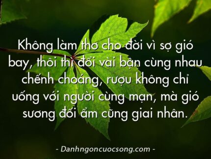 Không làm thơ cho đời vì sợ gió bay, thôi thì đổi vài bận cùng nhau chếnh choáng, rượu không chỉ uống với người cùng mạn, mà gió sương đối ẩm cũng giai nhân.