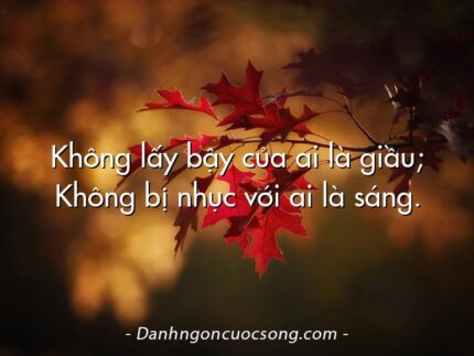 Không lấy bậy của ai là giầu; Không bị nhục với ai là sáng.