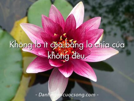 Không lo ít của bằng lo chia của không đều.