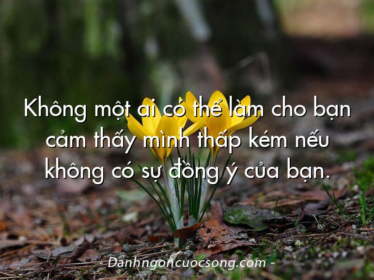 Không một ai có thể làm cho bạn cảm thấy mình thấp kém nếu không có sự đồng ý của bạn.