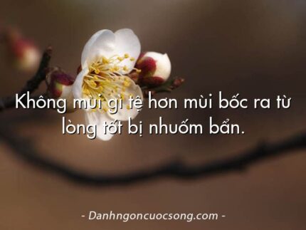 Không mùi gì tệ hơn mùi bốc ra từ lòng tốt bị nhuốm bẩn.