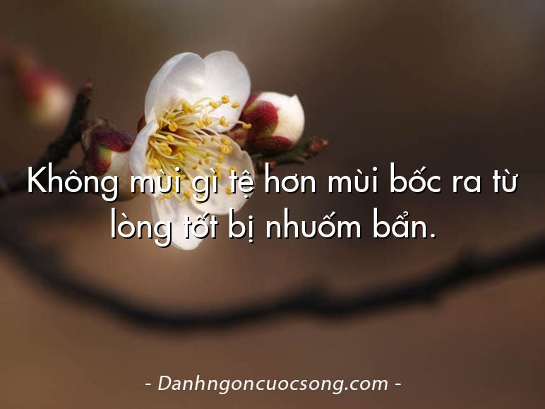 Không mùi gì tệ hơn mùi bốc ra từ lòng tốt bị nhuốm bẩn.