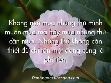 Không nên mua những thứ mình muốn mua mà hãy mua những thứ cần mua. Những thứ không cần thiết đù chỉ tốn một đồng cũng là phí tiền.