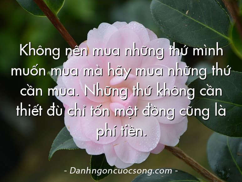 Không nên mua những thứ mình muốn mua mà hãy mua những thứ cần mua. Những thứ không cần thiết đù chỉ tốn một đồng cũng là phí tiền.