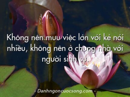 Không nên mưu việc lớn với kẻ nói nhiều, không nên ở chung nhà với người sinh sự.