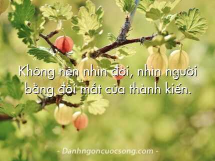 Không nên nhìn đời, nhìn người bằng đôi mắt của thành kiến.