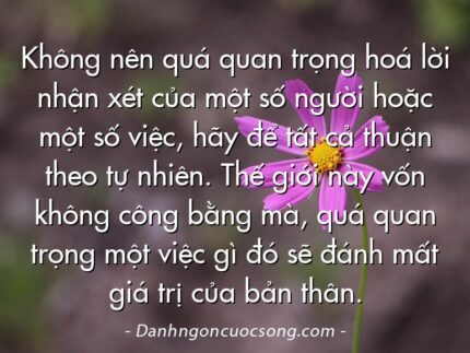 Không nên quá quan trọng hoá lời nhận xét của một số người hoặc một số việc, hãy để tất cả thuận theo tự nhiên. Thế giới này vốn không công bằng mà, quá quan trọng một việc gì đó sẽ đánh mất giá trị của bản thân.