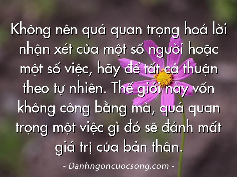 Không nên quá quan trọng hoá lời nhận xét của một số người hoặc một số việc, hãy để tất cả thuận theo tự nhiên. Thế giới này vốn không công bằng mà, quá quan trọng một việc gì đó sẽ đánh mất giá trị của bản thân.