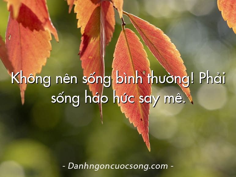 Không nên sống bình thường! Phải sống háo hức say mê.