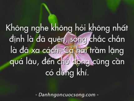 Không nghe không hỏi không nhất định là đã quên, song chắc chắn là đã xa cách. Cả hai trầm lặng quá lâu, đến chủ động cũng cần có dũng khí.