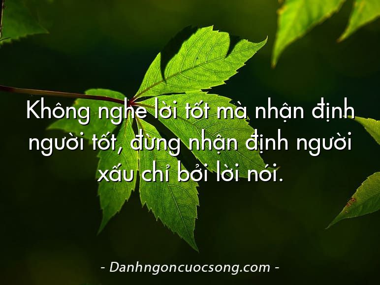 Không nghe lời tốt mà nhận định người tốt, đừng nhận định người xấu chỉ bởi lời nói.