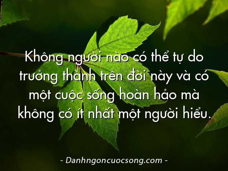 Không người nào có thể tự do trưởng thành trên đời này và có một cuộc sống hoàn hảo mà không có ít nhất một người hiểu.