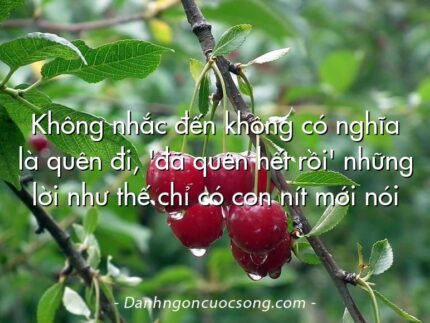 Không nhắc đến không có nghĩa là quên đi, 'đã quên hết rồi' những lời như thế chỉ có con nít mới nói