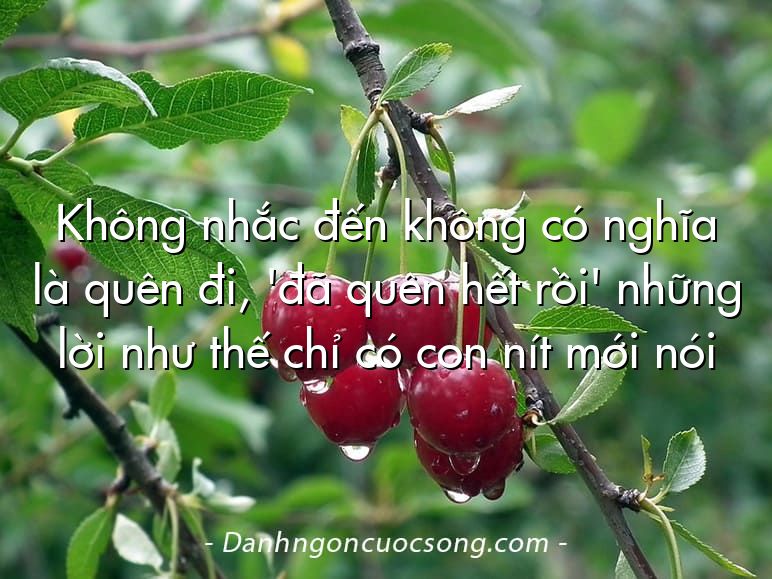 Không nhắc đến không có nghĩa là quên đi, 'đã quên hết rồi' những lời như thế chỉ có con nít mới nói