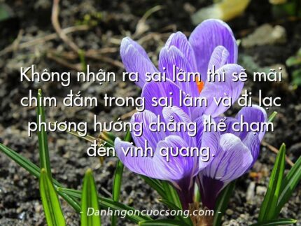 Không nhận ra sai lầm thì sẽ mãi chìm đắm trong sai lầm và đi lạc phương hướng chẳng thể chạm đến vinh quang.