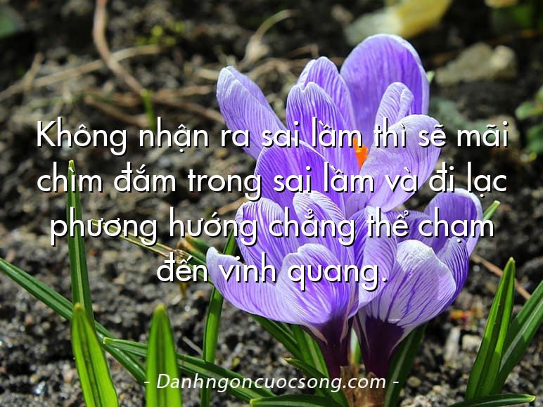 Không nhận ra sai lầm thì sẽ mãi chìm đắm trong sai lầm và đi lạc phương hướng chẳng thể chạm đến vinh quang.