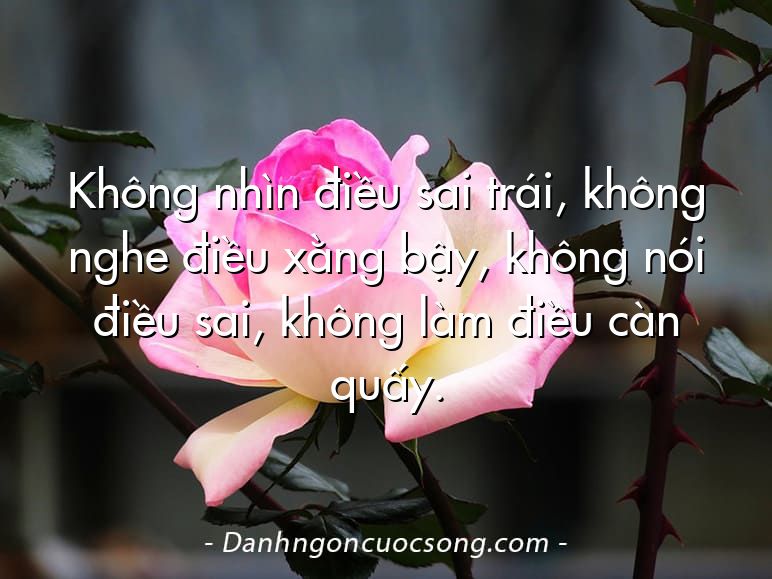 Không nhìn điều sai trái, không nghe điều xằng bậy, không nói điều sai, không làm điều càn quấy.