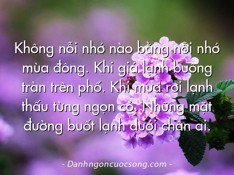 Không nỗi nhớ nào bằng nỗi nhớ mùa đông. Khi giá lạnh buông tràn trên phố. Khi mưa rơi lạnh thấu từng ngọn cỏ. Những mặt đường buốt lạnh dưới chân ai.