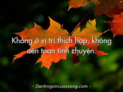 Không ở vị trí thích hợp, không nên toan tính chuyện.