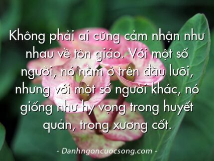 Không phải ai cũng cảm nhận như nhau về tôn giáo. Với một số người, nó nằm ở trên đầu lưỡi, nhưng với một số người khác, nó giống như hy vọng trong huyết quản, trong xương cốt.