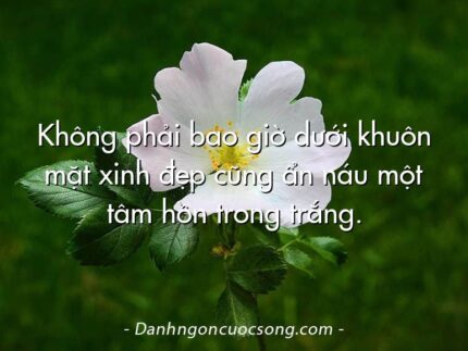 Không phải bao giờ dưới khuôn mặt xinh đẹp cũng ẩn náu một tâm hồn trong trắng.