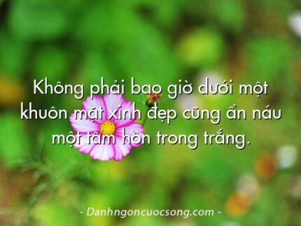 Không phải bao giờ dưới một khuôn mặt xinh đẹp cũng ẩn náu một tâm hồn trong trắng.