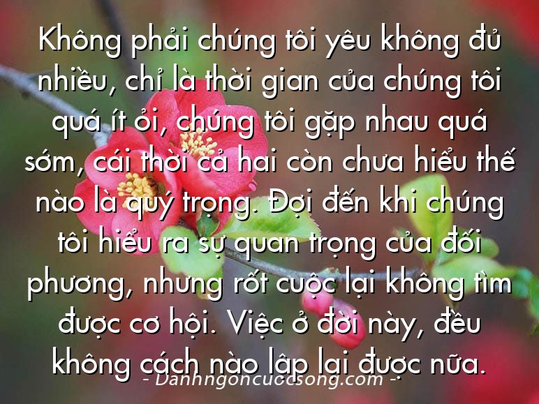Không phải chúng tôi yêu không đủ nhiều, chỉ là thời gian của chúng tôi quá ít ỏi, chúng tôi gặp nhau quá sớm, cái thời cả hai còn chưa hiểu thế nào là quý trọng. Đợi đến khi chúng tôi hiểu ra sự quan trọng của đối phương, nhưng rốt cuộc lại không tìm được cơ hội. Việc ở đời này, đều không cách nào lập lại được nữa.