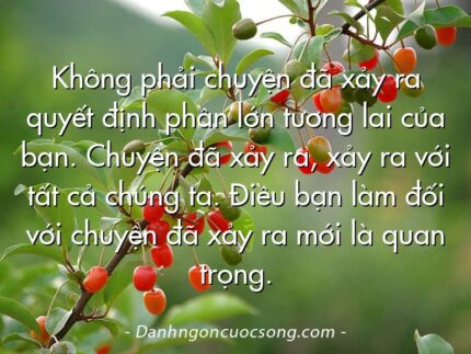 Không phải chuyện đã xảy ra quyết định phần lớn tương lai của bạn. Chuyện đã xảy ra, xảy ra với tất cả chúng ta. Điều bạn làm đối với chuyện đã xảy ra mới là quan trọng.