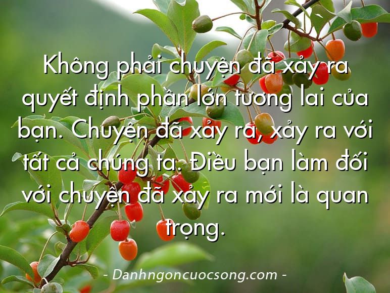 Không phải chuyện đã xảy ra quyết định phần lớn tương lai của bạn. Chuyện đã xảy ra, xảy ra với tất cả chúng ta. Điều bạn làm đối với chuyện đã xảy ra mới là quan trọng.