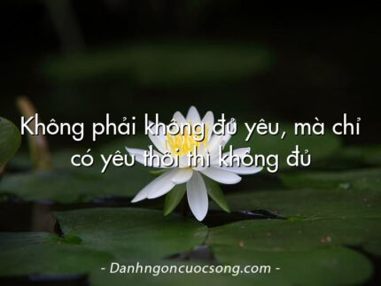 Không phải không đủ yêu, mà chỉ có yêu thôi thì không đủ