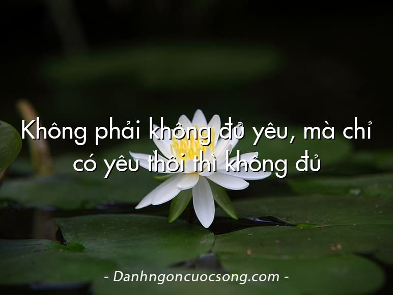 Không phải không đủ yêu, mà chỉ có yêu thôi thì không đủ