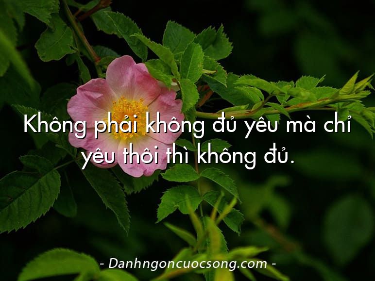 Không phải không đủ yêu mà chỉ yêu thôi thì không đủ.