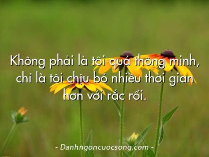 Không phải là tôi quá thông minh, chỉ là tôi chịu bỏ nhiều thời gian hơn với rắc rối.