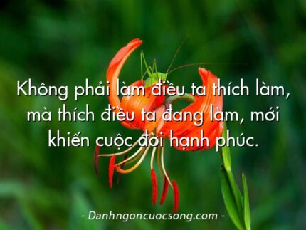 Không phải làm điều ta thích làm, mà thích điều ta đang làm, mới khiến cuộc đời hạnh phúc.
