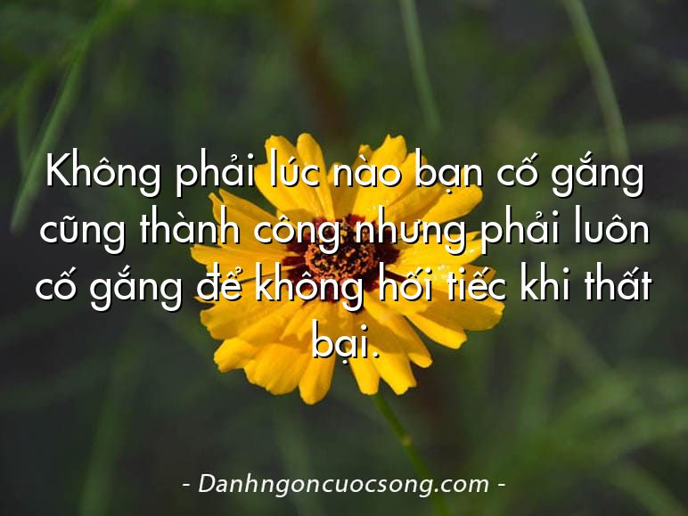 Không phải lúc nào bạn cố gắng cũng thành công nhưng phải luôn cố gắng để không hối tiếc khi thất bại.