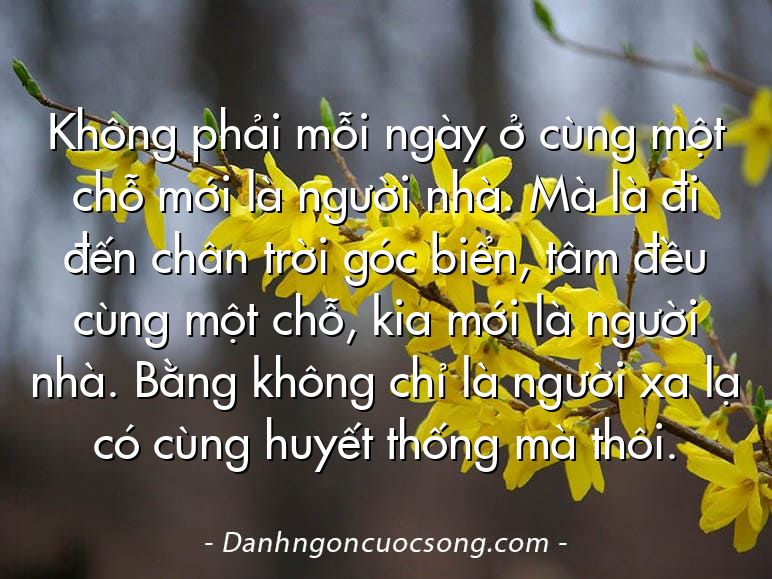 Không phải mỗi ngày ở cùng một chỗ mới là người nhà. Mà là đi đến chân trời góc biển, tâm đều cùng một chỗ, kia mới là người nhà. Bằng không chỉ là người xa lạ có cùng huyết thống mà thôi.