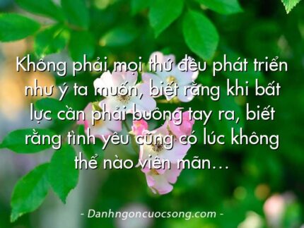 Không phải mọi thứ đều phát triển như ý ta muốn, biết rằng khi bất lực cần phải buông tay ra, biết rằng tình yêu cũng có lúc không thể nào viên mãn…