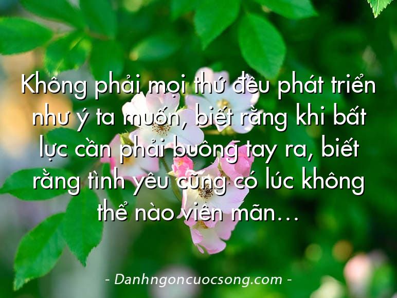 Không phải mọi thứ đều phát triển như ý ta muốn, biết rằng khi bất lực cần phải buông tay ra, biết rằng tình yêu cũng có lúc không thể nào viên mãn…
