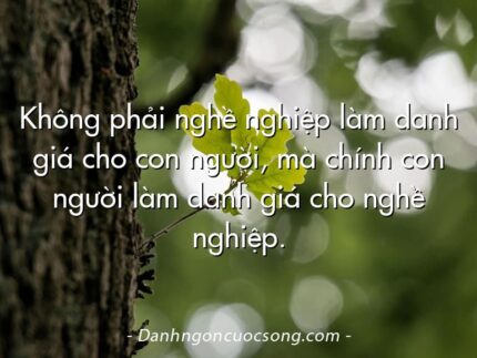Không phải nghề nghiệp làm danh giá cho con người, mà chính con người làm danh giá cho nghề nghiệp.