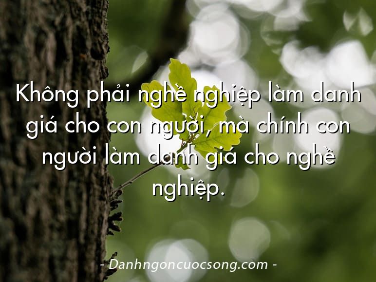 Không phải nghề nghiệp làm danh giá cho con người, mà chính con người làm danh giá cho nghề nghiệp.