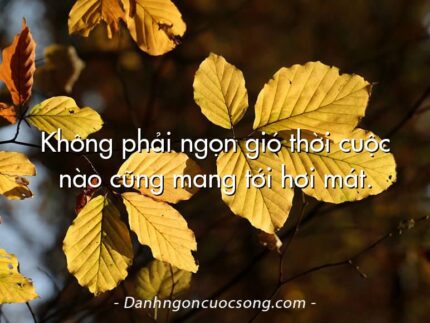 Không phải ngọn gió thời cuộc nào cũng mang tới hơi mát.