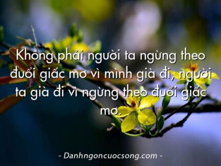Không phải người ta ngừng theo đuổi giấc mơ vì mình già đi, người ta già đi vì ngừng theo đuổi giấc mơ.
