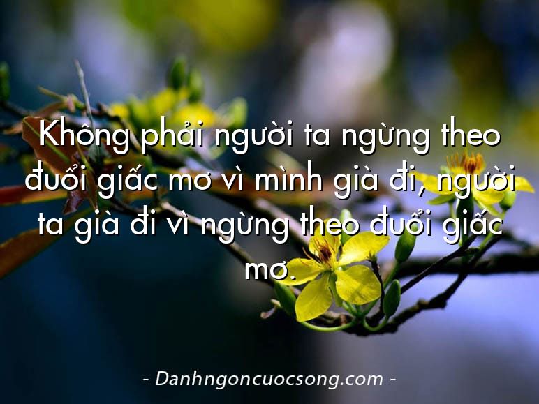 Không phải người ta ngừng theo đuổi giấc mơ vì mình già đi, người ta già đi vì ngừng theo đuổi giấc mơ.