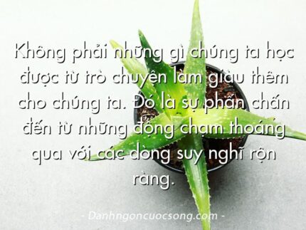 Không phải những gì chúng ta học được từ trò chuyện làm giàu thêm cho chúng ta. Đó là sự phấn chấn đến từ những động chạm thoáng qua với các dòng suy nghĩ rộn ràng.