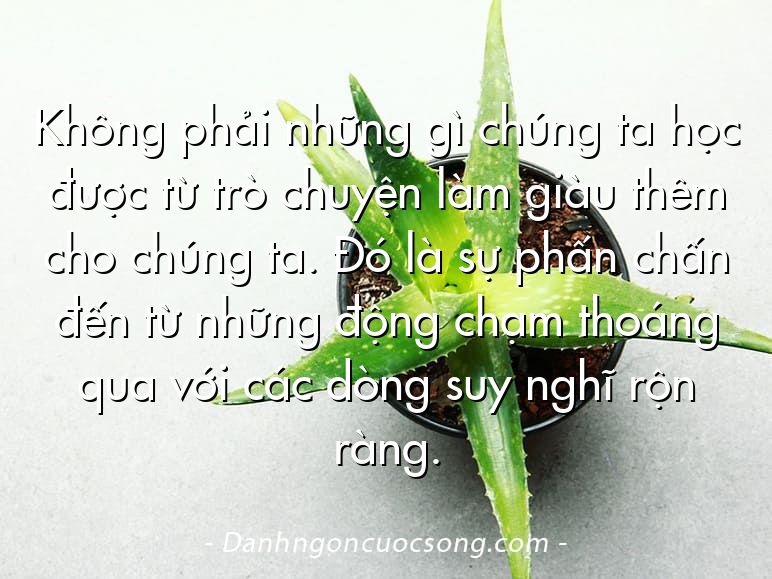 Không phải những gì chúng ta học được từ trò chuyện làm giàu thêm cho chúng ta. Đó là sự phấn chấn đến từ những động chạm thoáng qua với các dòng suy nghĩ rộn ràng.
