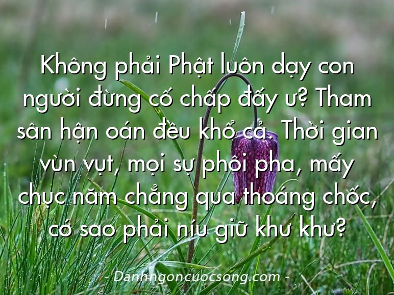 Không phải Phật luôn dạy con người đừng cố chấp đấy ư? Tham sân hận oán đều khổ cả. Thời gian vùn vụt, mọi sự phôi pha, mấy chục năm chẳng qua thoáng chốc, cớ sao phải níu giữ khư khư?