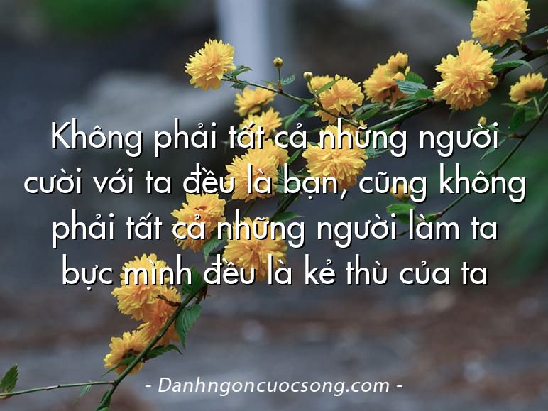 Không phải tất cả những người cười với ta đều là bạn, cũng không phải tất cả những người làm ta bực mình đều là kẻ thù của ta