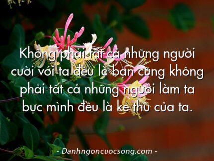 Không phải tất cả những người cười với ta đều là bạn cũng không phải tất cả những người làm ta bực mình đều là kẻ thù của ta.